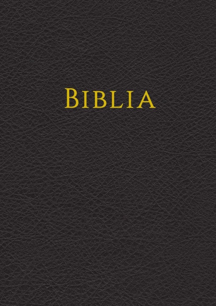 Bibel - BIBLIA - Rum�nisch