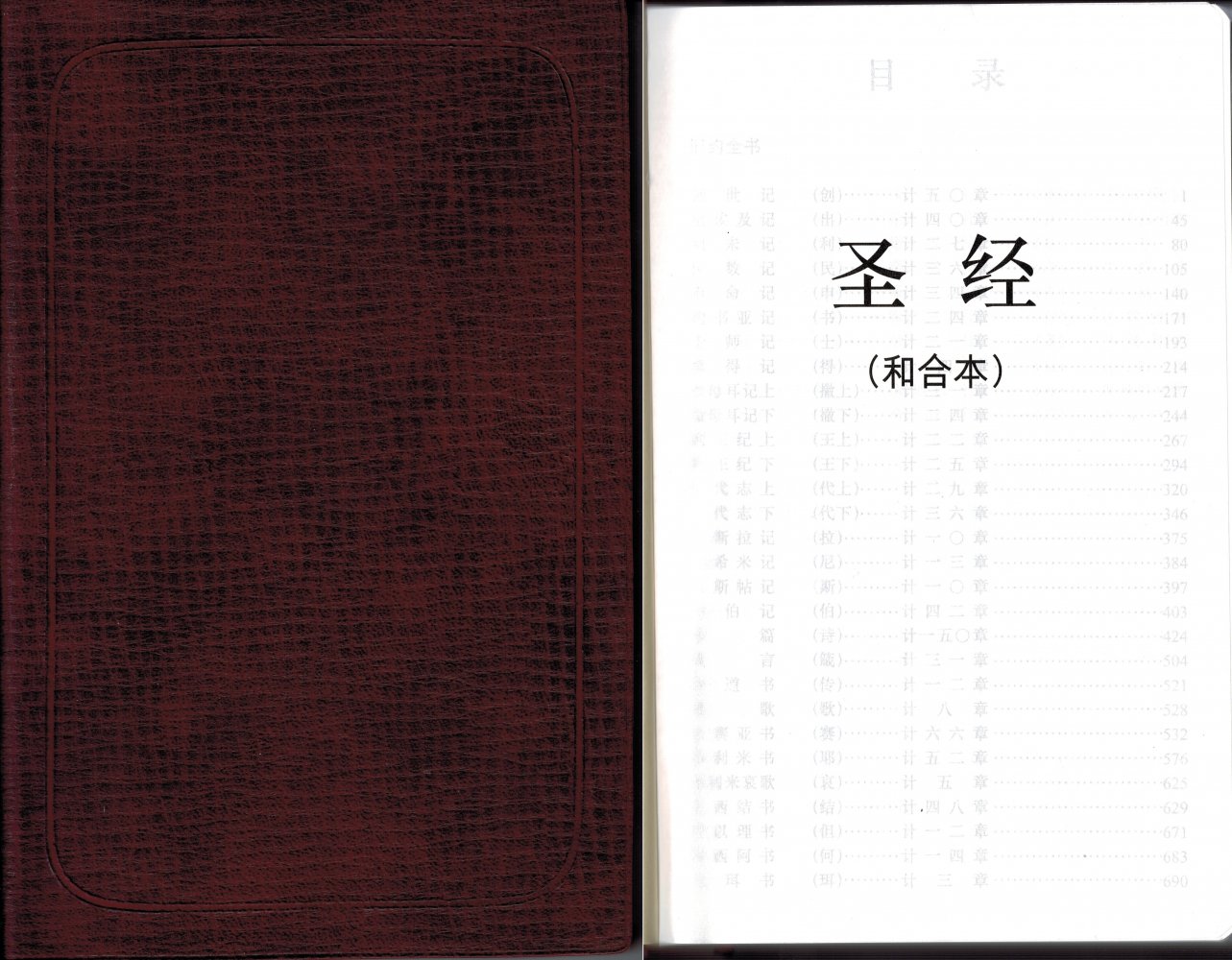 Bibel - Chinesisch Kurzzeichen