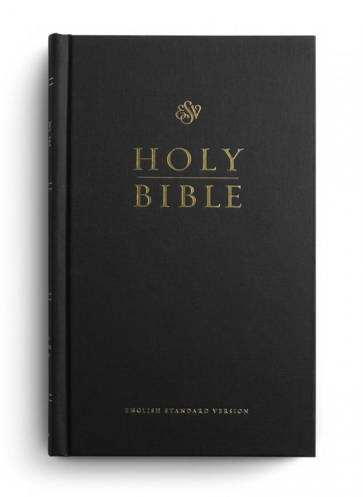 Bibel (English Standard Version, ESV) - Englisch