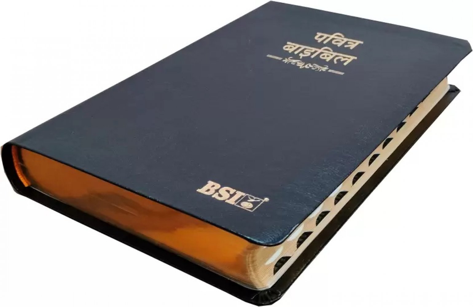 Bibel - Hindi