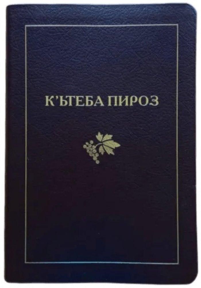 Bibel - Kurdisch-Kurmandschi (Kyrillisch!)