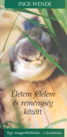Mein Leben zwischen Angst und Hoffnung Erfahrungsbericht Leuk�mie - Ungarisch