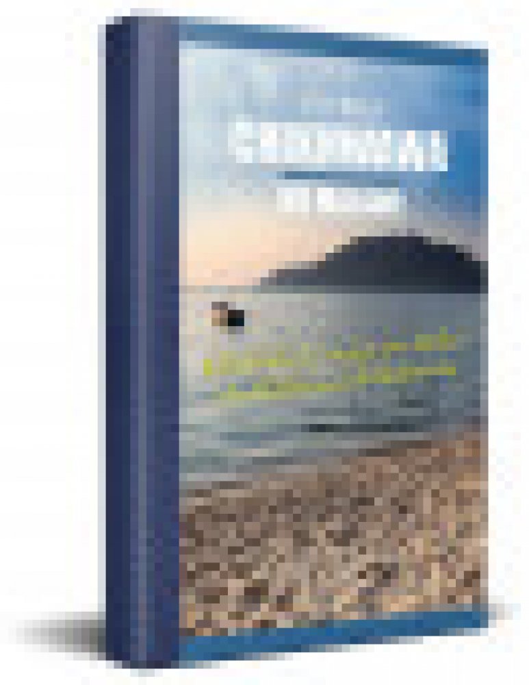 Neues Testament City Bible - Chichewa
