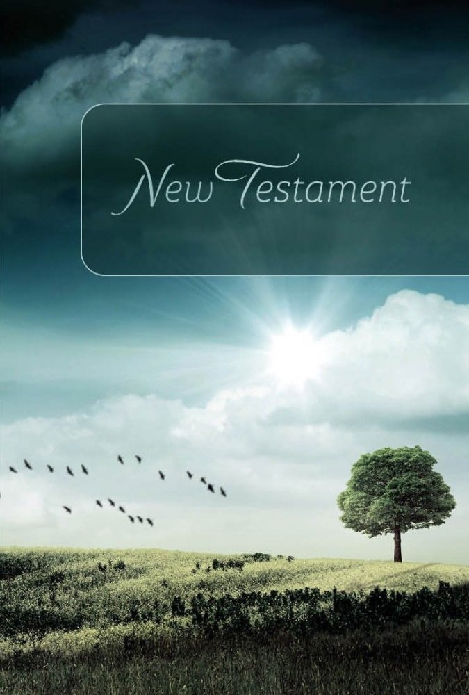 Neues Testament - (kartoniert) - Englisch