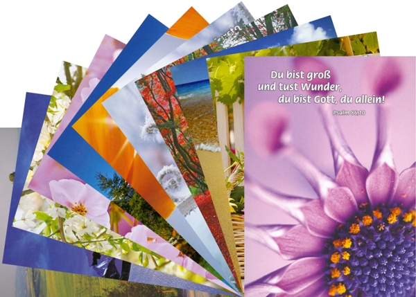 Postkarten-Set (12er) mit Bibelvers - Deutsch