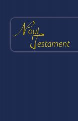 Neues Testament - Rum�nisch